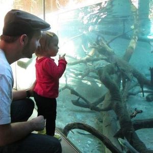 Meet your Posher, Justin